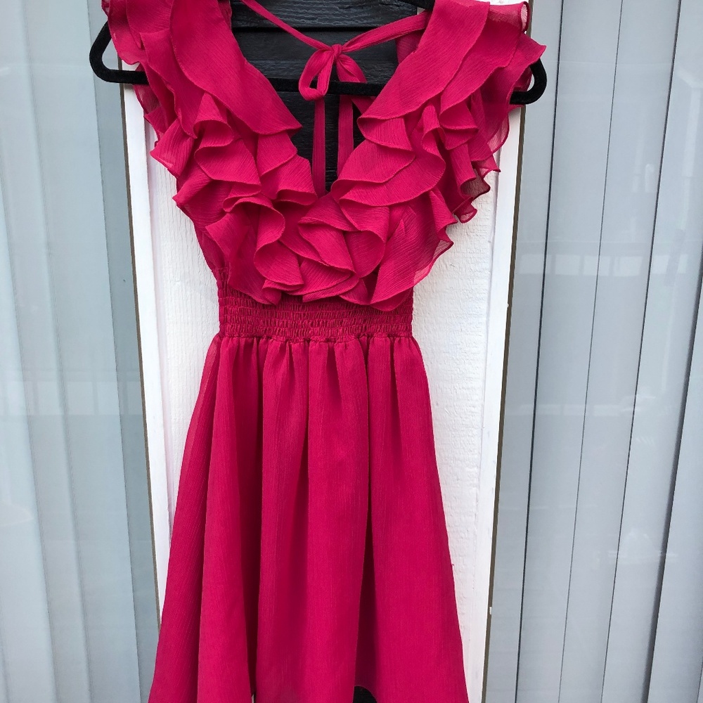 Arden B Ruffled Dress